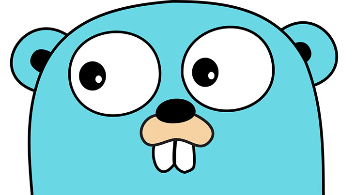 Go-Package Intro : Go for Beginners